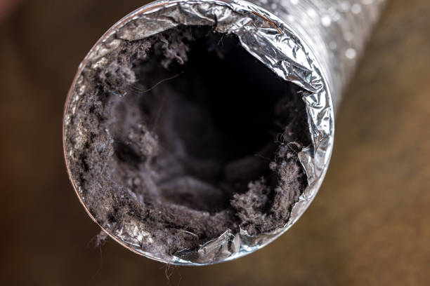 Best Emergency Air Duct Cleaning  in Auburn, NE