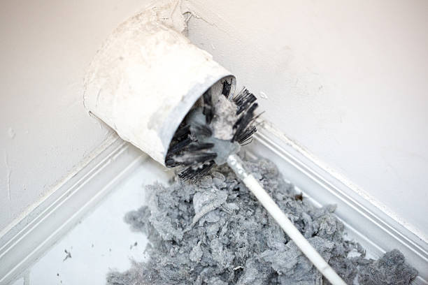 Best Professional Duct Cleaning Services  in Auburn, NE